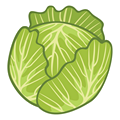 Choux vert